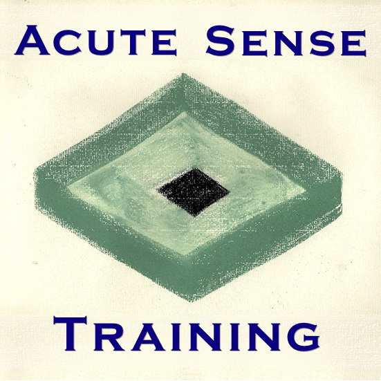 Acute Sense Training bijscholing voor therapeuten